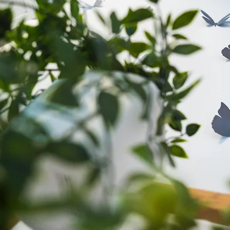 아파트 Mariposa 산미겔데아보나